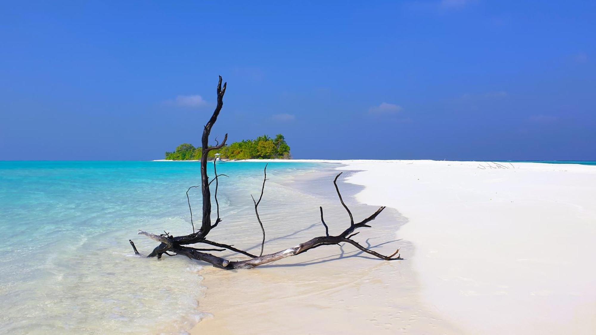 The Fulhadhoo Beach Cottage Esterno foto